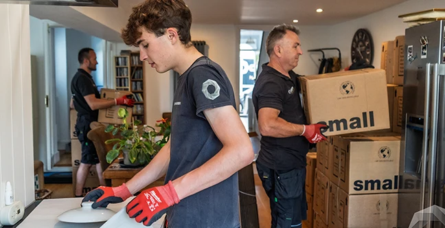 Team members of Barking Removals