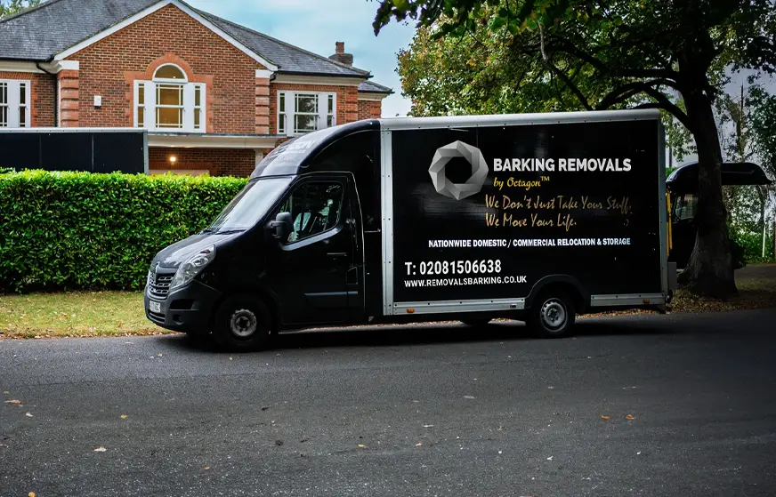 Professional Moving Service